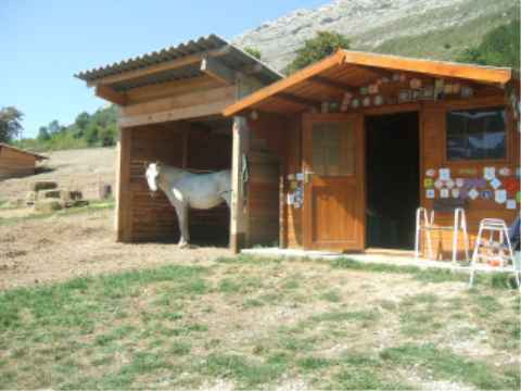 chevaux au box